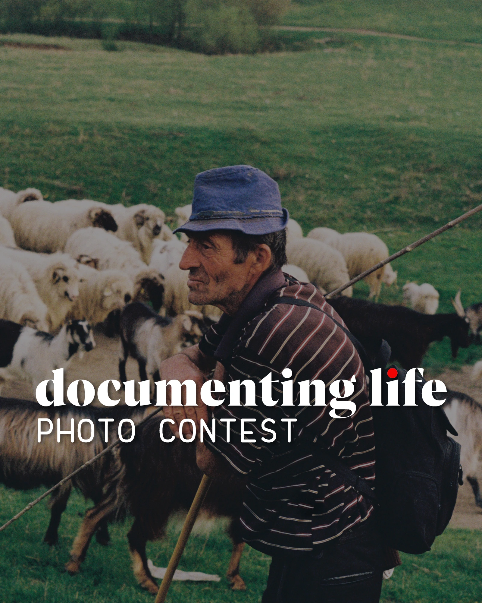 Photo contest #04: Documenting Life